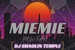 Dj Shaolin Temple – Mie Mie How Far Cruise Beat Mp3 Download