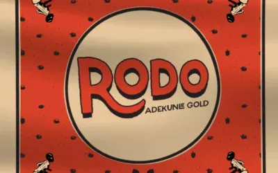 Adekunle Gold – Rodo Mp3 Download