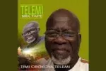 Timi Orokoya Telemi – Mo Fiyin Fun Mp3 Download