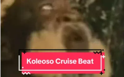 Dj Highness – Koleoso Cruise Dance Beat Mp3 Download