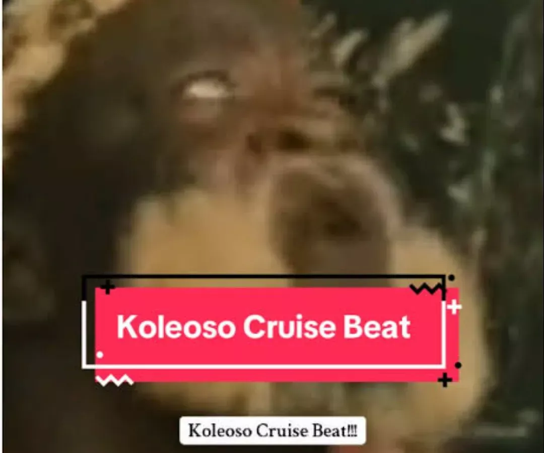 Dj Highness – Koleoso Cruise Dance Beat Dj Highness – Koleoso Cruise Dance Beat Mp3 Download