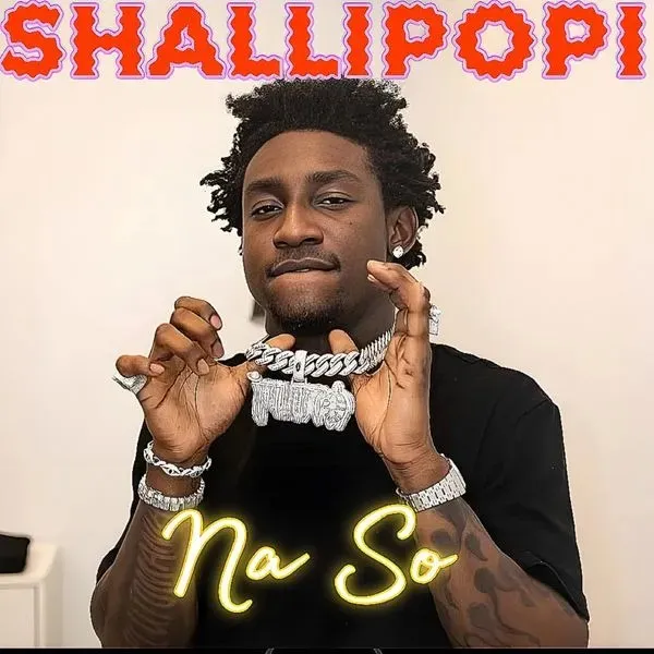 Shallipopi – Na So Mp3 Download