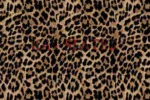 Tim Duzit – Kat Slater (Native Remedies Remix) Mp3 Download