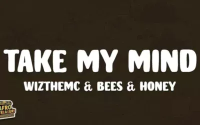 WizTheMc & bees & honey – Take My Mind Mp3 Download