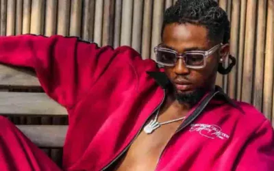 Omah Lay – Successful