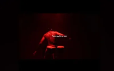 Serotonin – Somadina