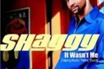 Shaggy – It Wasn’t Me