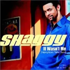 Shaggy – It Wasn’t Me Shaggy – It Wasn’t Me