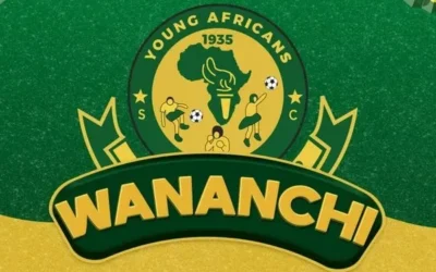 D Voice – Wananchi
