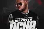 Dj Lambo – Mayorbase Party Mixtape