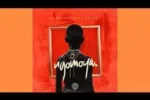 Silk Boss – Brown Man