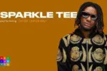 Sparkle Tee – Ofor Omamme