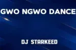 DJ Starkeed – Gwo Ngwo Dance