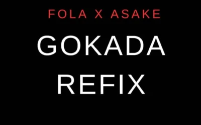 Stereo King DJ MD, FOLA & Asake – Gokada (Refix)