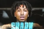 YoungBoy Never Broke Again – Shark