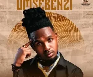 MusiholiQ – Umsebenzi