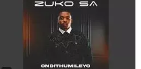 Zuko SA – Impilo Zuko SA – Impilo