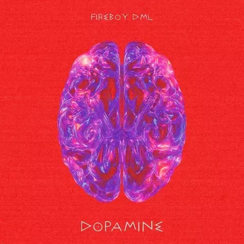 Fireboy-DML-Dopamine Fireboy DML – Dopamine