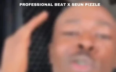 Professional Beat – Tigirogo feat. Seun Pizzle