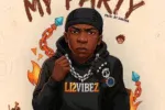 Li2 Vibez – My Party