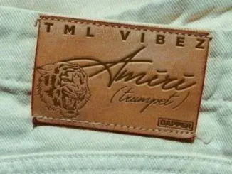 Tml Vibez – Amiri (Trumpet)
