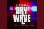 JFS Music – Dry Wave ft. King Tone & Soa Mattrix