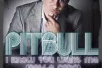 Pitbull – I know you want me (Calle ocho)