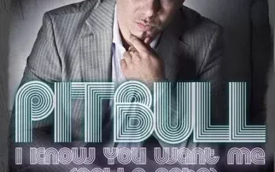 Pitbull – I know you want me (Calle ocho)