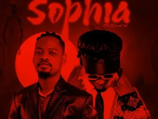 Ben Pol Ft DJ Mushizo – Sophia (Remix)