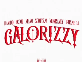 Davido – Galorizzy ft. Mavo, ECool, Morravey, Scotts.M & Iphxne Dj