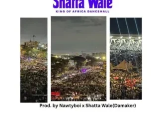 Shatta Wale – ShattaFest