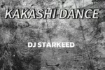 DJ Starkeed – Kakashi Dance