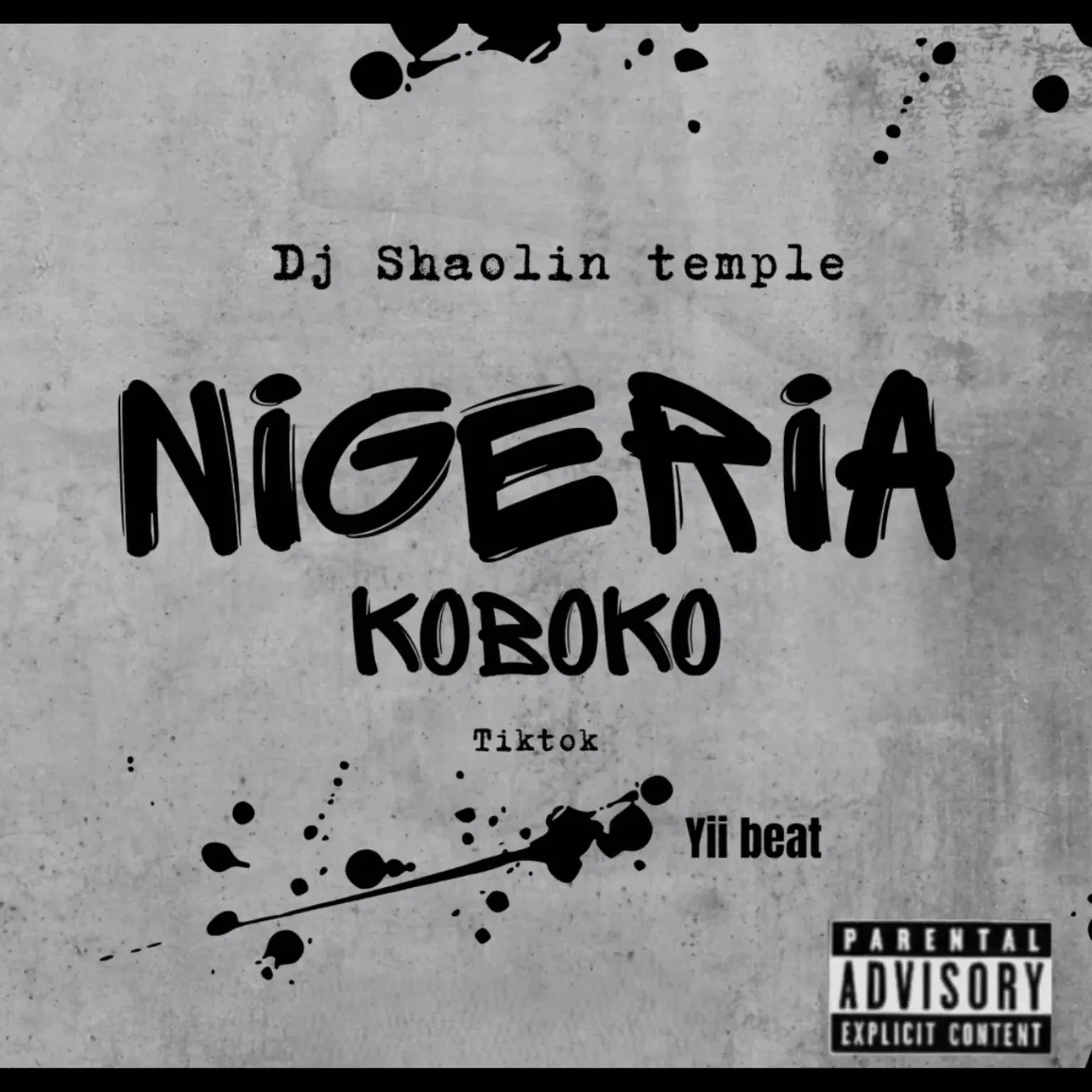 Dj Shaolin – Nigeria Koboko Tiktok Yii Beat
