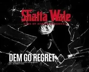 Shatta Wale – I climbed, I Rose