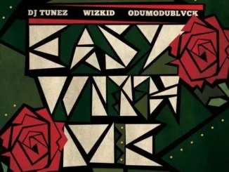 Wizkid – Easy With Me Ft. ODUMODUBLVCK