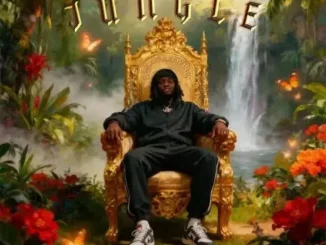 Balloranking – Jungle