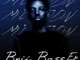 M00tion – Briss Bass (Ep)