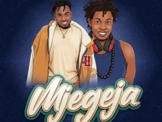 Kisamaki Ft Chege – Mjegeja