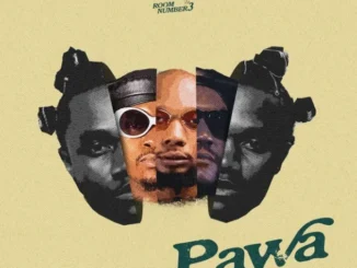 Mbosso Ft. The Ben – Pawa III Mp3 Download