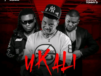 Y-Cool Ft Freyo – Jealous