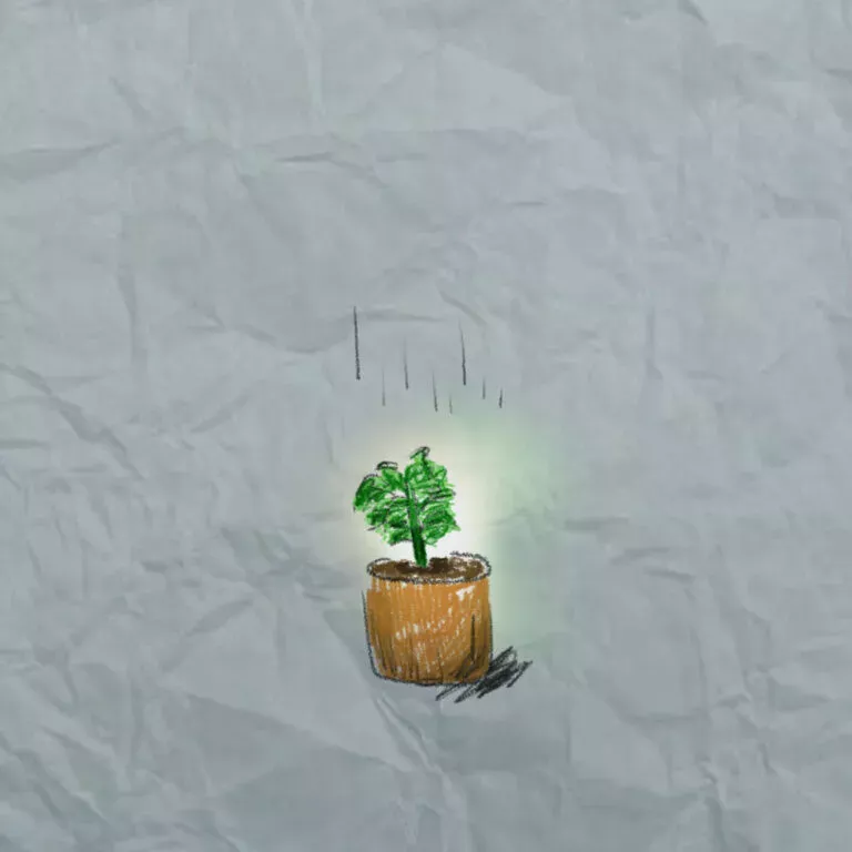 ALLOT – Rain Shower