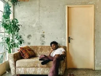 Dj Stainless Kokumo Ft Seyi Vibez – Bounce Mara Dance Version