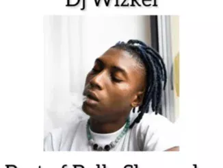 DJ Wizkel – Best of Bella Shmurda