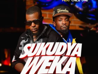 Drifta Trek ft. Chile One – Sukudya Weka