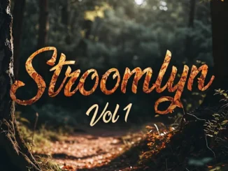 Stroomlyn - AS TYD MY VAT (Slower Version)