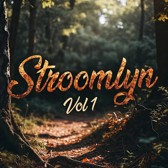 Stroomlyn – AS TYD MY VAT (Slower Version)