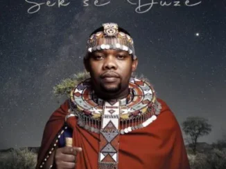 Njelic ft Luu Nineleven & La-Ngwenya – Sek’se Duze