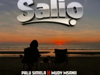 Palu Simela x Mudy Msanii – Salio Mp3 Download