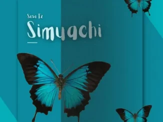 Soso Tz – Simuachi
