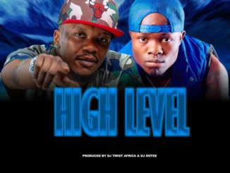 Timbo ft. Shokii Mwana Chibolya – High Level